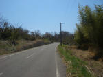 CIMG2853.JPG