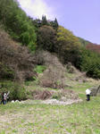 IMAG0567.jpg