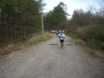 n20.jpg