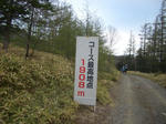 n21.jpg