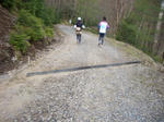 n22.jpg