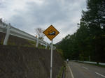 n28.jpg