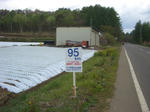 n31.jpg