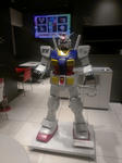 IMAG0655.jpg