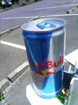 IMAG0687.jpg