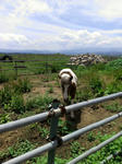 IMAG0691.jpg