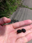 IMAG0699.jpg