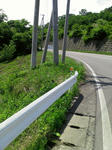 IMAG0705.jpg