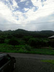 IMAG0730.jpg
