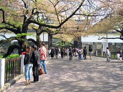 tayasumon.jpg