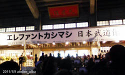 budoukan11_01_09.jpg