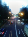 d7838841jpeg