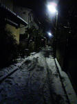 80796beejpeg