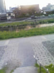 06713ddbjpeg