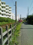 75476d91.jpeg