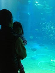 IMG_4784.jpg