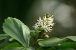 PICT00041.JPG