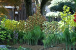 PICT0046.JPG