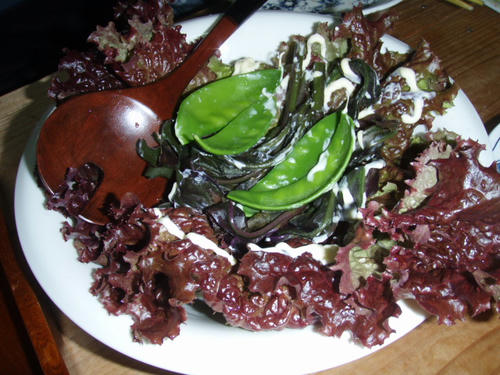 P1110453.JPG