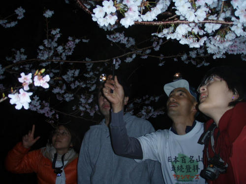 夜桜につつまれて・・・