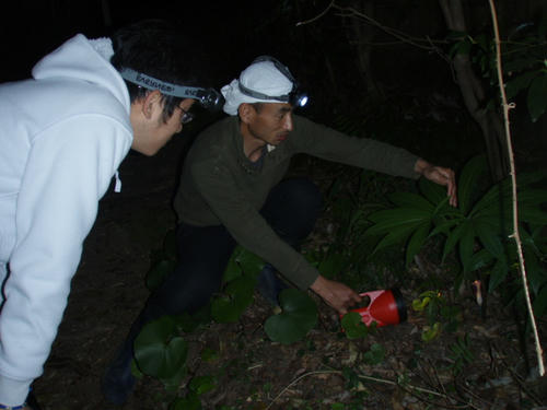夜の森散策。