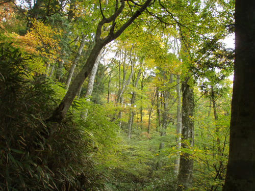 PA302945.JPG