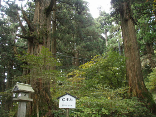 PA302972.JPG