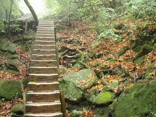 PA260030.JPG