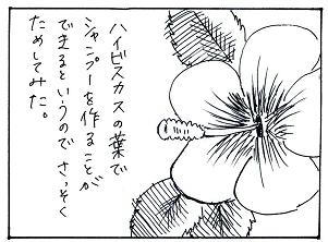 bro0011.JPG