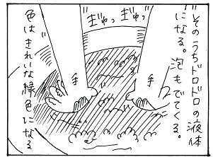 bro0031.JPG