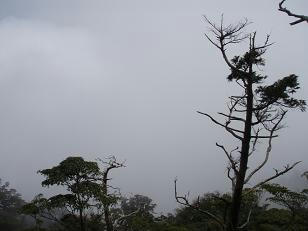 P4060420.JPG