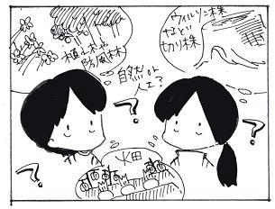 bro046.jpg