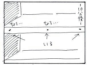 bro065.jpg