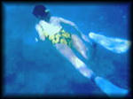 photowatersportssnorkelinggirl.jpg