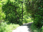 satoyamasannpo.jpg