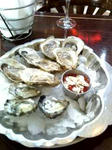 07-07-08_oyster.jpg