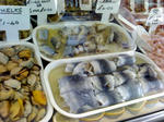 29-08-08_1317.jpg