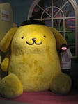 IMG_5884.jpg