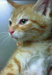 200806241620000.jpg