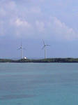 080723_1645~0001.jpg