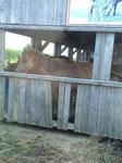 080723_1704~0001.jpg