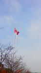 101125_0941~01.jpg
