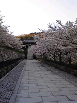 SH3500160001.jpg