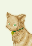 nekoE.gif