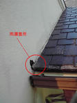 ce534080.JPG