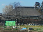 P1000044.JPG