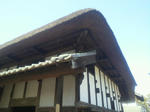 P1000040.JPG