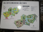 P1000043.JPG