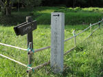 DSC00697.jpg