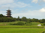 DSC00706.jpg